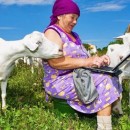 В Москве хотят раздавать технику нуждающимся