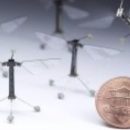 Американские специалисты показали мини-робота «летучую мышь»